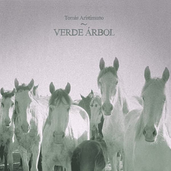 Tomás Aristimuño — Verde Árbol