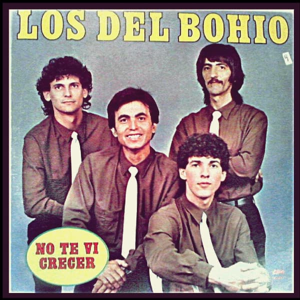 Los Del Bohio — No Te Vi Crecer