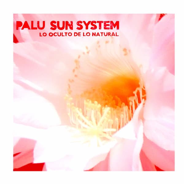 Palu Sun System — Lo Oculto De Lo Natural