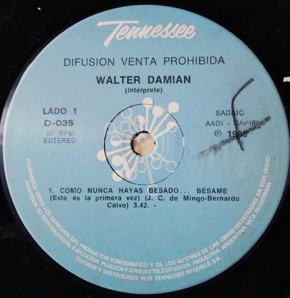 Walter Damian — Como Nunca Hayas Besado...Besame / Baby la Reina Del Disco