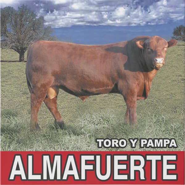 Almafuerte — Toro Y Pampa