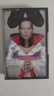 Björk — Homogenic