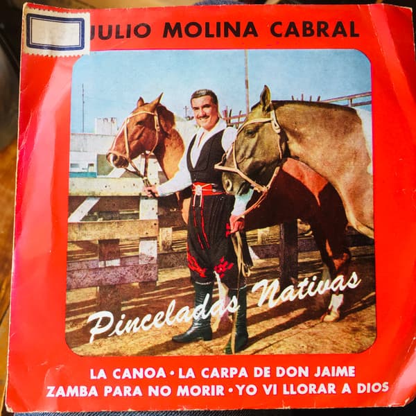 Julio Molina Cabral — Pinceladas Nativas