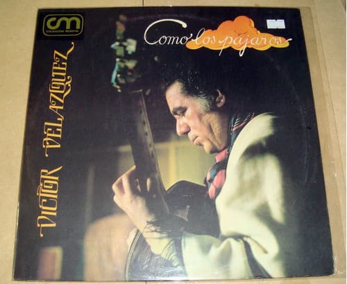 Victor Velázquez — Como Los Pajaros