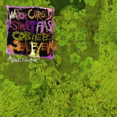 Animal Collective — Water Curses