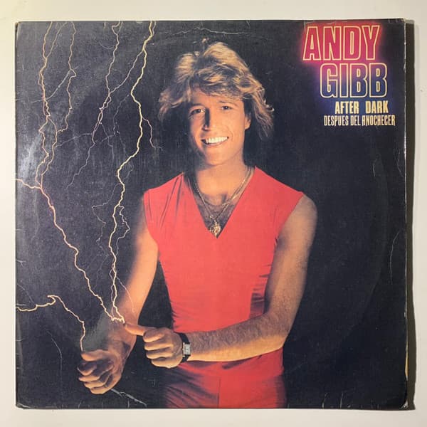 Andy Gibb — Después Del Anochecer = After Dark