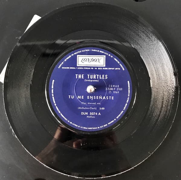 The Turtles — Tu Me Enseñaste