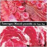 Marcelo Pocavida & The Viagra Boys & Samesugas — Split