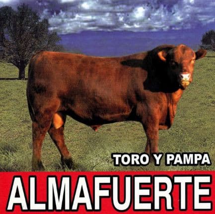 Almafuerte — Toro Y Pampa