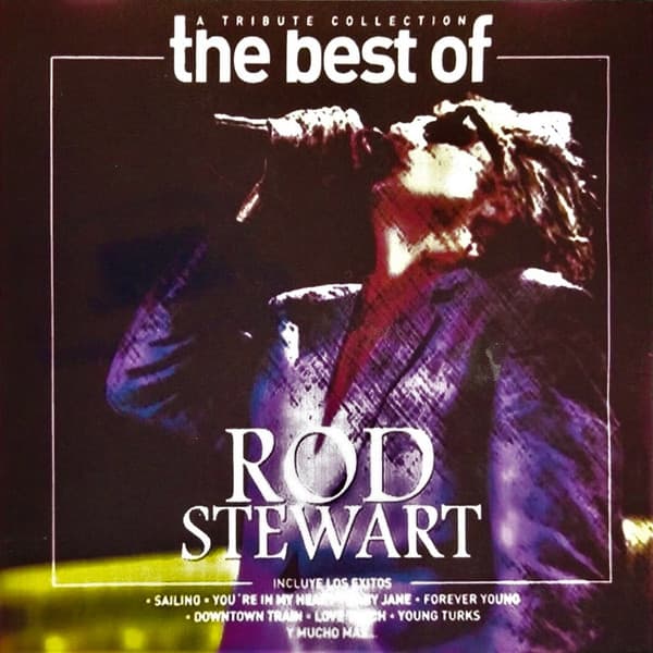 Unknown Artist — The Best Of Rod Stewart