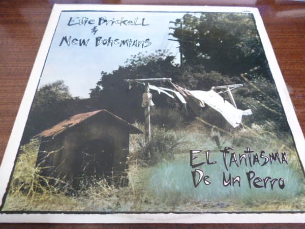 Edie Brickell & New Bohemians — Ghost Of A Dog = El Fantasma De Un Perro