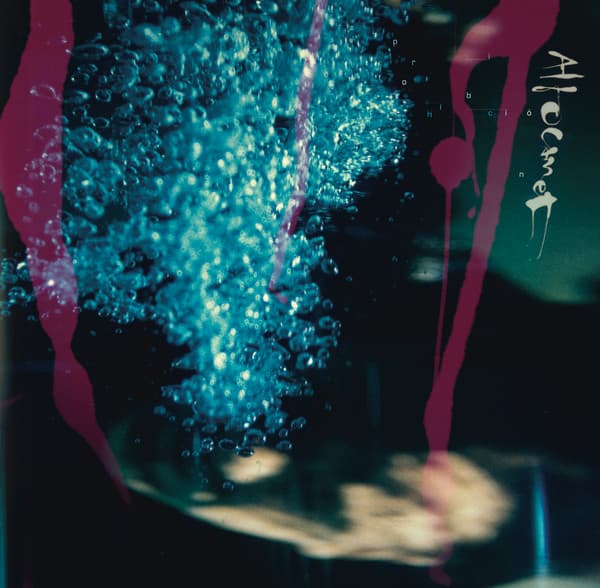 Altocamet — Prohibición