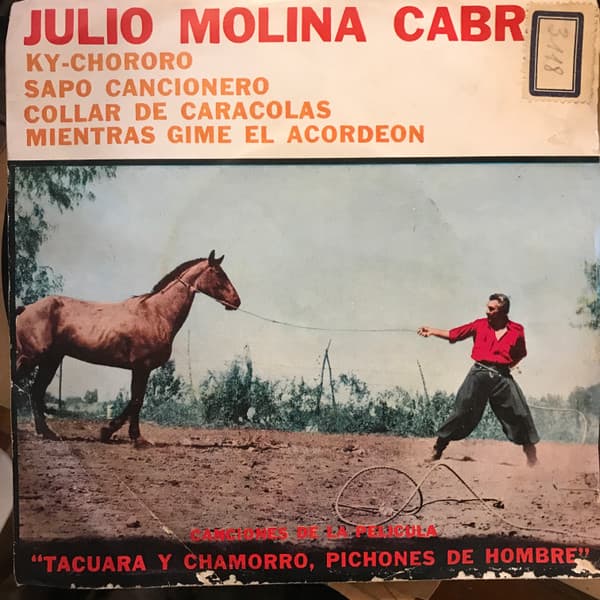 Julio Molina Cabral — Canciones De La Pelicula "Tacuara Y Chamorro, Pichones De Hombre"
