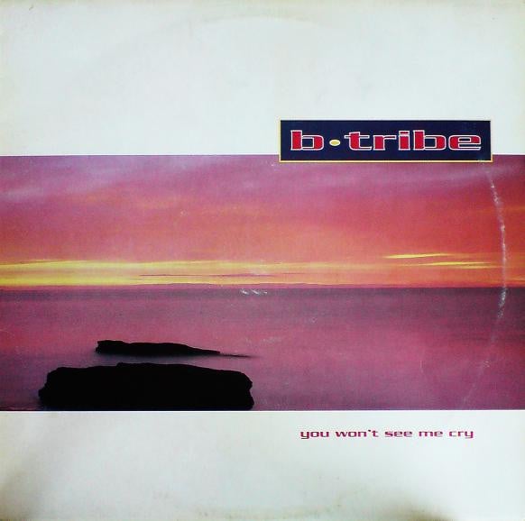 B-Tribe – You Won't See Me Cry