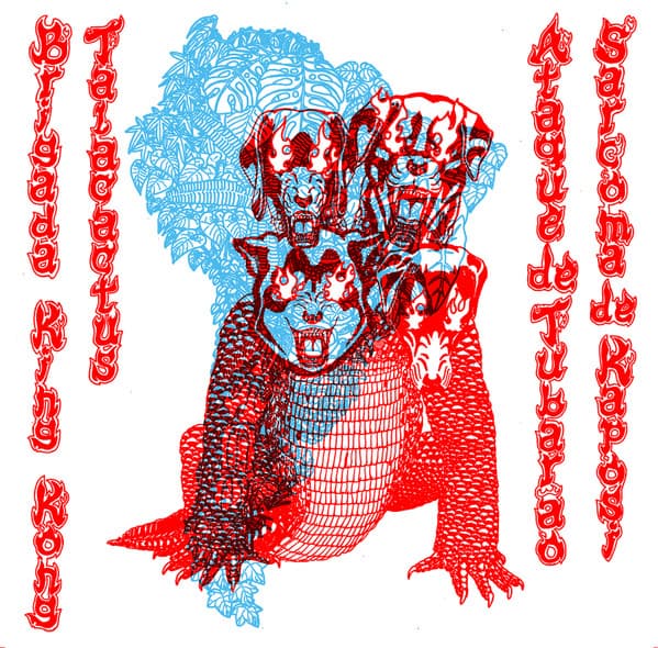 Talacactus & Brigada King Kong & Ataque De Tubarão & Sarcoma De Kaposi — Split T4pe