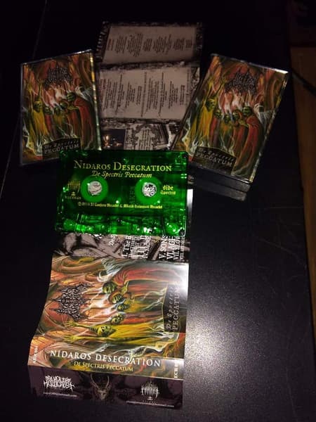 Nidaros Desecration — De Spectris Peccatum