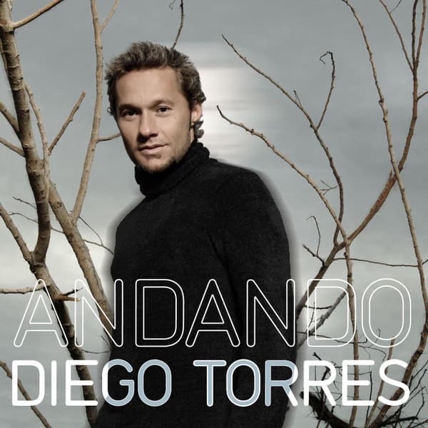 Diego Torres — Andando