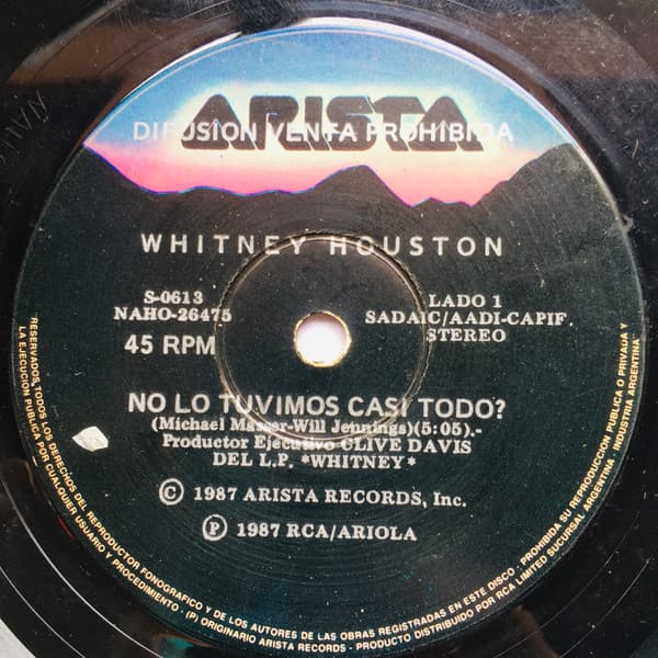 Whitney Houston — No Lo Tuvimos Casi Todo? = Didn't We Almost Have It All