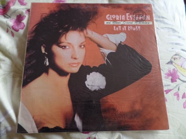 Gloria Estefan And Miami Sound Machine — Let It Loose