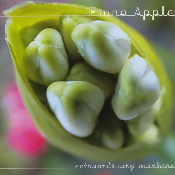 Fiona Apple — Extraordinary Machine