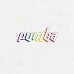 Pumba Soundsystem — Debut
