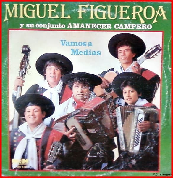 Miguel Figueroa Y Su Conjunto "Amanecer Campero" — Vamos A Medias