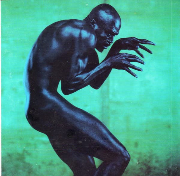 Seal — Human Being
