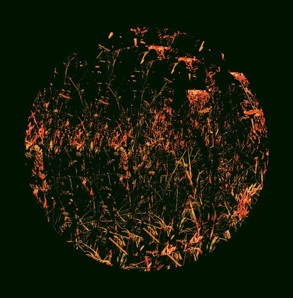 A CASA — La Luna