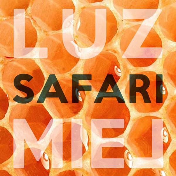Luz Safari — Miel