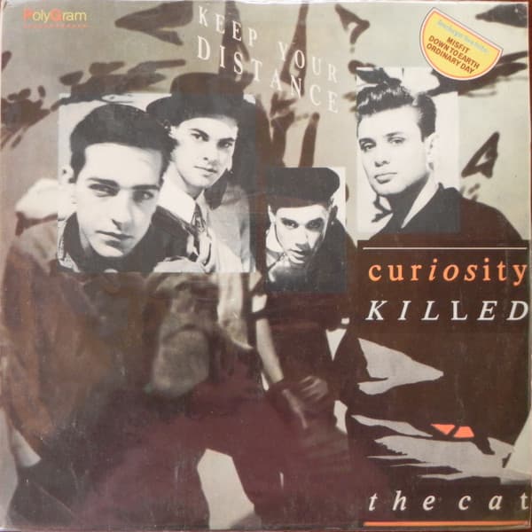 Curiosity Killed The Cat — Manten La Distancia = Keep Your Distance