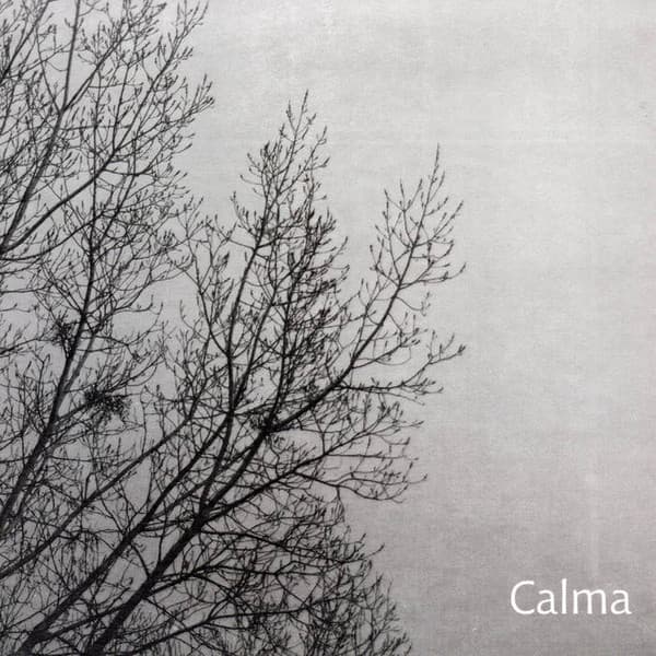 Carlos Aguirre Trío — Calma