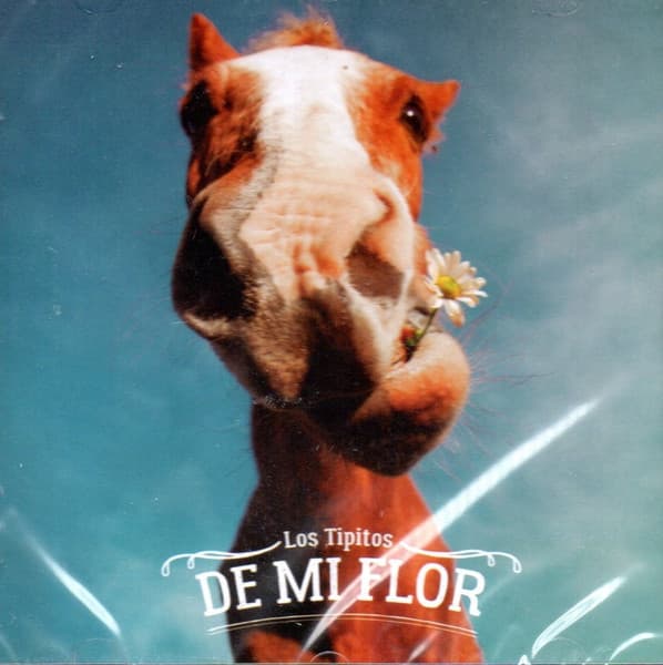 Los Tipitos — De Mi Flor