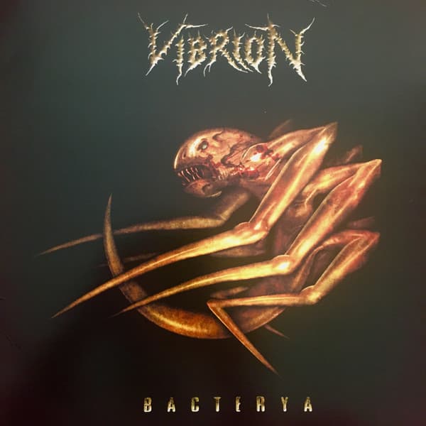 Vibrion — Bacterya