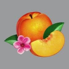 Phoenix — Bankrupt!