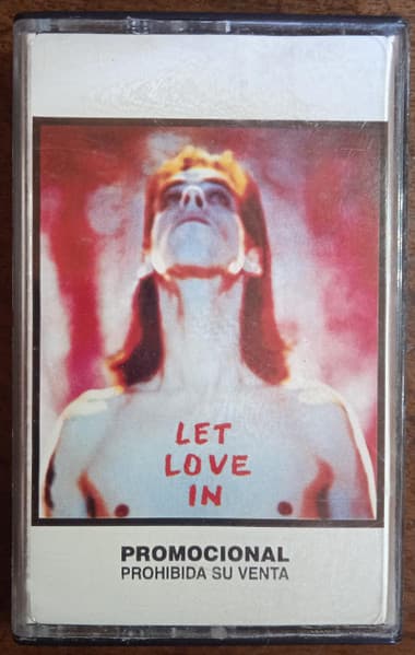 Nick Cave And The Bad Seeds — Let Love In