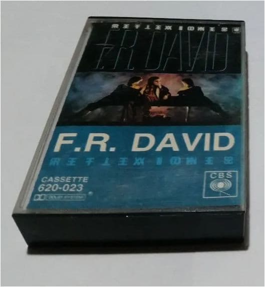 F.R. David — Reflexiones = Reflections
