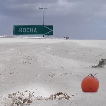 Pablo Grinjot — Rocha