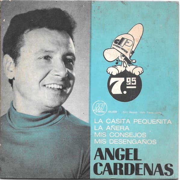Angel Cárdenas — Mis Consejos