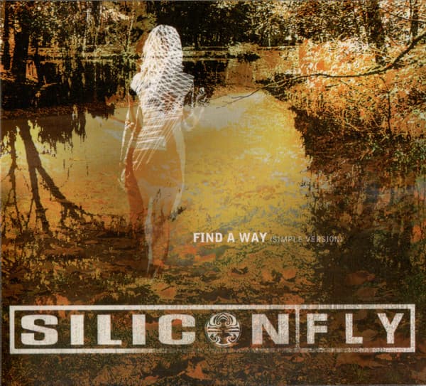 Silicon Fly — Find A Way