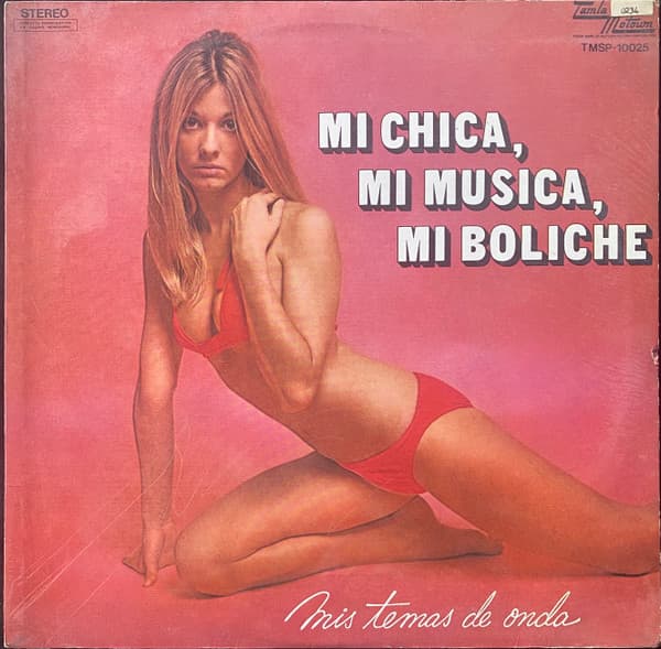 Various — Mi Chica, Mi Musica, Mi Boliche (Mis Temas De Onda)