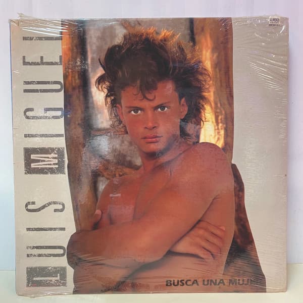 Luis Miguel — Busca Una Mujer
