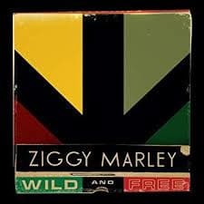 Ziggy Marley — Wild And Free