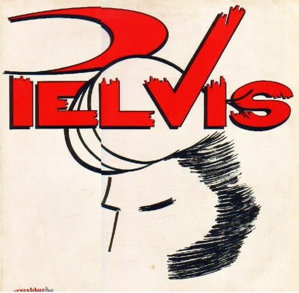 Pelvis — Pelvis 2