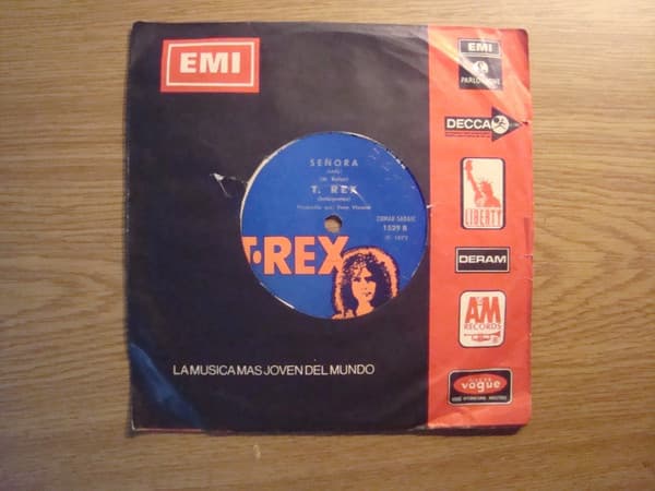 T•Rex — Metal Guru