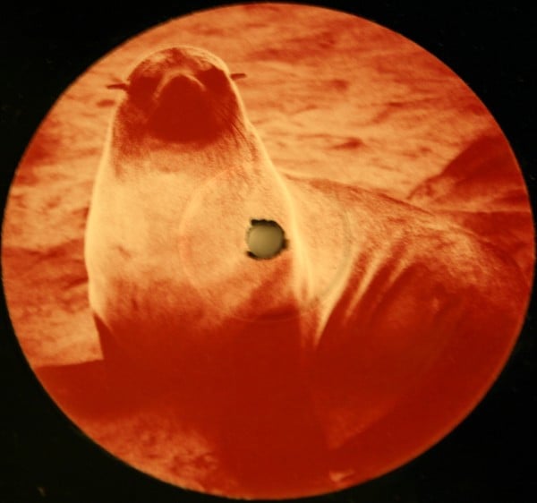 Seal – Killer (Lexicon Avenue Mix)