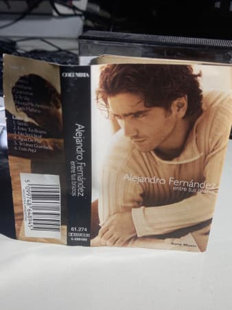 Alejandro Fernández — Entre Tus Brazos