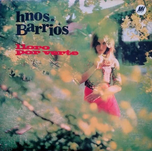 Los Hermanos Barrios — Lloro Por Verte
