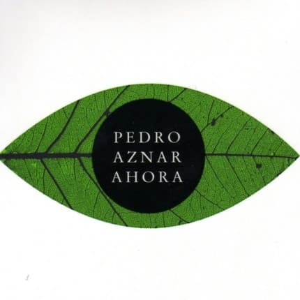Pedro Aznar — Ahora
