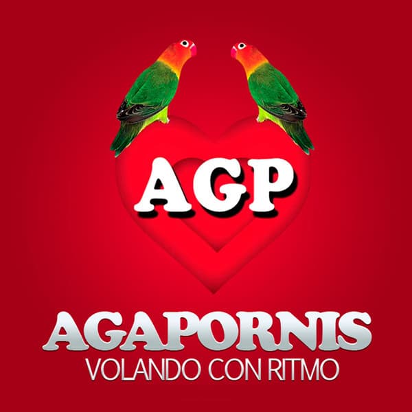 Agapornis — Volando Con Ritmo