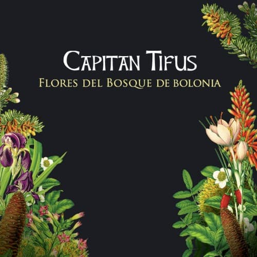 La Fanfarria Del Capitán — Flores Del Bosque De Bolonia